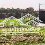 Chủ cần bán đất cln xã tân quý tây, huyện bình chánh, thành phố hồ chí minh