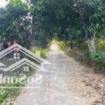 Chuyển nhượng lô đất diện tích 1122m2 bám suối tại lương sơn, hoà bình