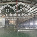 Xưởng dệt nhuộm 5.000m2 cho thuê kcn nhơn trạch giá 570 triệu/tháng (4,5 usd)