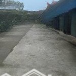 Hơn 2 tỷ lô góc 3 mặt tiền thông tứ tung tại văn tự thường tín hn