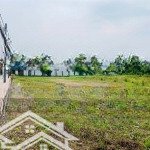 Nhanh tay sở hữu lô đất ngợp mt lê thị lơ. tân hiệp, hóc môn. 85/485tr. cách trường dậy nghề 700m