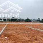Sở hữu 1 lô đất phú thọ chỉ từ 300tr, view đẹp thoáng 4 mặt đường, đầu tư sinh lời đậm
