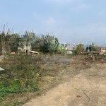 Bán gấp 100m2 đất 2 mặt tiền sát trục chính phú mãn - quốc oai - hà nội thấp hơn thị trường 5-7 giá