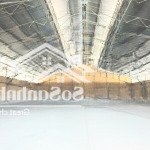 Cho thuê kho 450m2 q4 giáp q1 cho kinh doanh tự do, studio, thể thao, cho thuê dài hạn