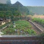 đất mỹ nội, bắc hồng gần vành đai 3 giá chỉ 3,1 tỷ