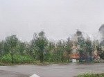 Biệt thự cao cấp tại phù chẩn, từ sơn, bắc ninh - yên tâm đầu tư - sinh lời bền vững