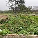 Bán đất tại happy land bắc hồng,đông anh, 3,2 tỷ, 45m2 view đẹp giá tốt