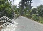 Cần tiền bán gấp đất chính chủ. 3000m2 mặt tiền đường lớn thông. tiện kd mọi ngành nghề