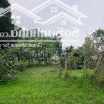 Bán 2800m tại tiến xuân thạch thất