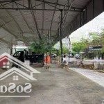 Cho thuê mặt bằng đã dựng khung sắt lợp mái tôn đường mạc đăng dung