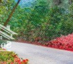 đầu tư ngay thung lũng thanh xuân valley giá tốt nhất thị trường lh ngay 0966382595