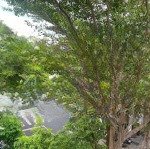Bán nhà 3 tầng sẵn nội thất mặt tiền kinh doanh khu đô thị phước long nha trang giá chỉ 7 tỷ 100