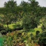 Cho thuê biệt thự chateau q7 350m2 4pn full nội thất trong khu compound khép kín bảo vệ 24/7.