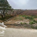Bán gấp cắt lỗ! lô đất đẹp tân xã giá rẻ hơn thị trường cơ hội vàng cho nhà đầu tư