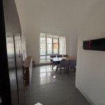 Cho thuê penhouse 3pn 160m2 giá tốt tại hưng vượng 2, tân phong, q7, tp. hcm hot
