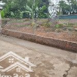 Bán đất xã tự nhiên, thường tín, 97m, ngõ ô tô tránh, 30m ra trục chính xe buýt, gần vành đai 4.