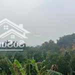 Chủ f0 hàng kín chưa ra thị trường lô góc 2 mặt tiền tại minh quang ba vì hn view toàn cảnh eduland