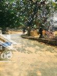 Bán đất tản lĩnh 1048m2 có 400tc sẵn nhà c4 cây ăn trái to. giá đầu tư 3, x tỷ