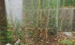 Bán đất nền thổ cơ thôn mỹ nội xã bắc hồng- đường thông ngõ thoáng sát nách vành đai 4