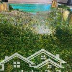 3 ngủ vip 147m2 view biển bắn pháo hoa full nội thất cách biển 1 bước chân trung tâm cát bà