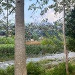 Chính chủ bán lô đất 3500m, 700m tc bám đường bê tông, bám suối tại cao phong -hoà bình