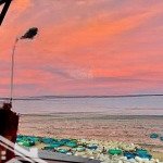 Bán 5 lô mt view biển bãi tắm khu c tp prtc sổ hồng riêng 100% thổ cư, xây dựng tự do, dân cư lâu.