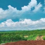 Bán đất chính chủ view rừng thông thơ mộng