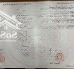 Bán đất 13000m2 tại cầu đình, long phước, quận 9, hcm giá 9 triệu / m2