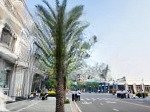 đất nền stc long thành duy nhất 1 lô giá chỉ 3,2tỷ (giá thật) - độc quyền phân phối !