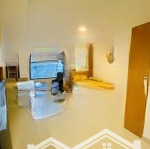 Cho thuê căn hộ botanica premier 42m2 y hình giá cực tốt chỉ 11tr/tháng, chung cư khu sân bay