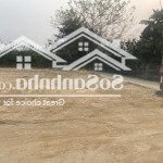 Bán đất 315m2 tại đt 86, ba trại, ba vì, hà nội, giá ưu đãi 2,2 tỷ