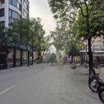 Cực hiếm! tòa văn phòng cao cấp- 9 tầng thang máy- khu vực trung tâm quận cầu giấy.