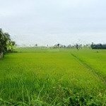 Bán đất mặt tiền trần nhân tông ngang 7m