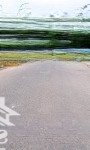Giỏ hàng kdt số 9 điện ngọc điện bàn