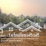 Chính chủ gửi bán 2 lô đất tu vũ, thanh thuỷ,pt nằm trên trục đường chính vào khu nghỉ dưỡng myla