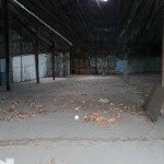 Bán kho giá rẻ mt trần đại nghĩa full thổ cư 1175m2