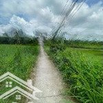 Bán đấu giá thửa đất số 444, tbđ số 2, phường 7, thành phố tân an, tỉnh long an