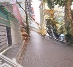 Bán nhà (đất) trương định-hoàng mai, 140m2 mt 5,8m.ô tô tải tránh, cực hiếm mảnh thứ 2 giá 183tr/m