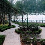 Bán nhà view hồ mặt phố từ hoa, 376m2, mặt tiền kinh doanh, 8pn, 8wc, tây hồ, hà nội
