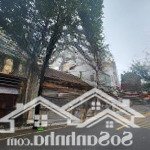 Bán đất mặt phố thụy khuê 89m2 mt quyền lực 9m vỉa hè rộng - kinh doanh đỉnh - cực thoáng chỉ 24 tỷ