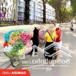 Booking celadon city - mua nhà có sẵn trả chậm 3 năm/20% vào nhận nhà ở ngay
