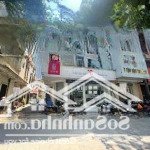 Cho thuê mặt bằng kinh doanh phố trần nguyên đán, dt 300m2 x 4 tầng, mt 7m vị trí siêu đẹp