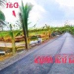 Bán đất thổ mặt tiền kênh 827d thuộc ấp phú xuân 2, phú ngãi trị, châu thành, dt: 8 x 20m