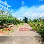 Bán đất kim long, quảng thành, châu đức, bà rịa vũng tàu, 495 triệu, 137 m2