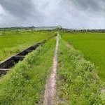Bán đất 12000m2 tại lê minh nhựt, tân an hội, củ chi, 15 tỷ vnd