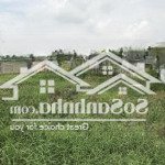 Bán 8.365m2 (có 126m2 thổ) đất mặt tiền đt830 ấp chợ mỹ, xã mỹ lệ, huyện cần đước, tỉnh long an