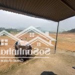 Bán đất mặt bằng rộng 35000 m2, chính chủ phù hợp làm nhà xưởng, kho bãi.