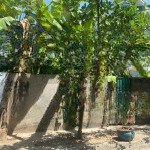 đường nội bộ trần não, dt 10x30m - 305m2, đơn giá tốt, tiện biệt thự, vp cty