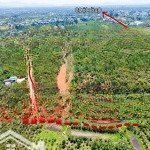 Bán đất tại lộc an, bảo lâm, lâm đồng, giá 3,6 tỷ, diện tích 723m2