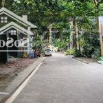 đất - xây văn phòng & biệt thự, phố đỗ nhuận, 145m2, mặt tiền 8m, công viên hoà bình 38.5 tỷ